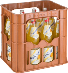 Salinger Limonade Orange Kasten 12 x 0,7 l Glas Mehrweg