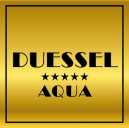 Logo Duessel