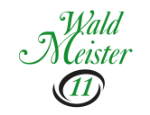 Logo Flimm Vodka Waldmeister 11