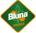 Logo Bluna Orange