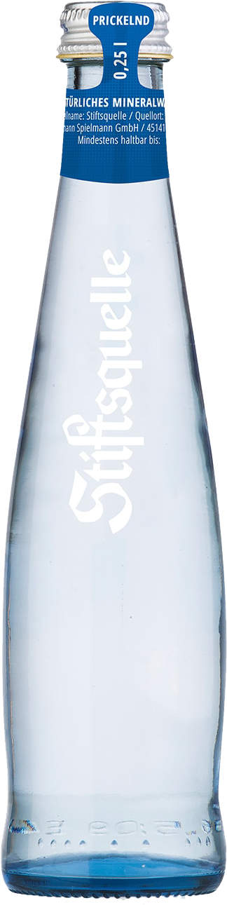 Stiftsquelle Mineralwasser Medium Gastro Kasten 24 x 0,25 l Glas Mehrweg